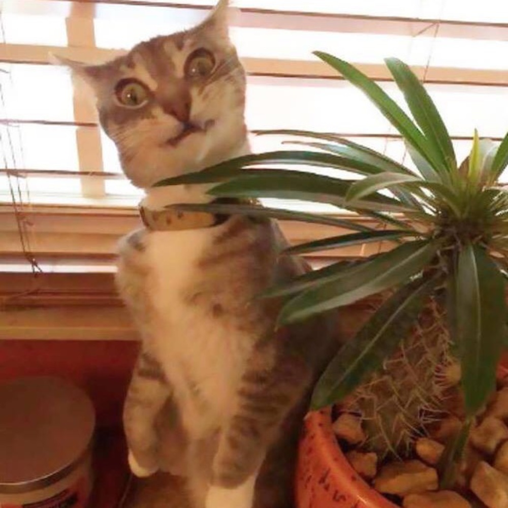 Meet your Posher, Andrew